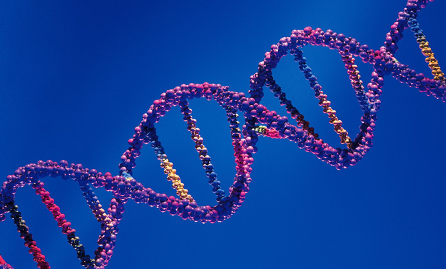 DNA τεστ: αξίζει να το κάνουμε;