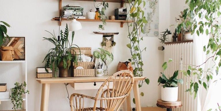 8 ιδέες για να γεμίσεις το σπίτι σου με φυτά
