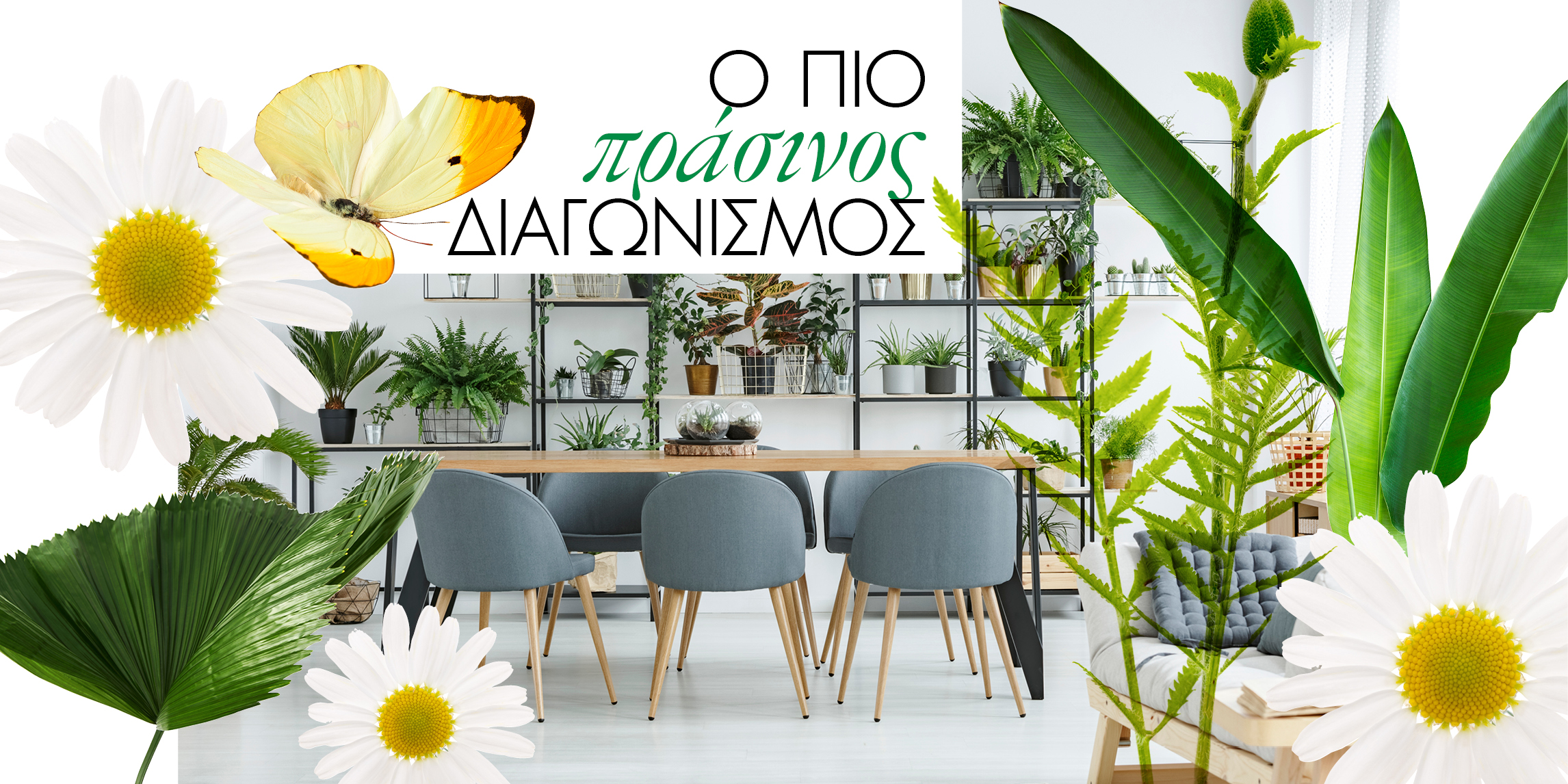 Green Διαγωνισμός: 1 τυχερή θα μεταμορφώσει το σπίτι της κερδίζοντας φυτά αξίας €500 από την HappyPlants