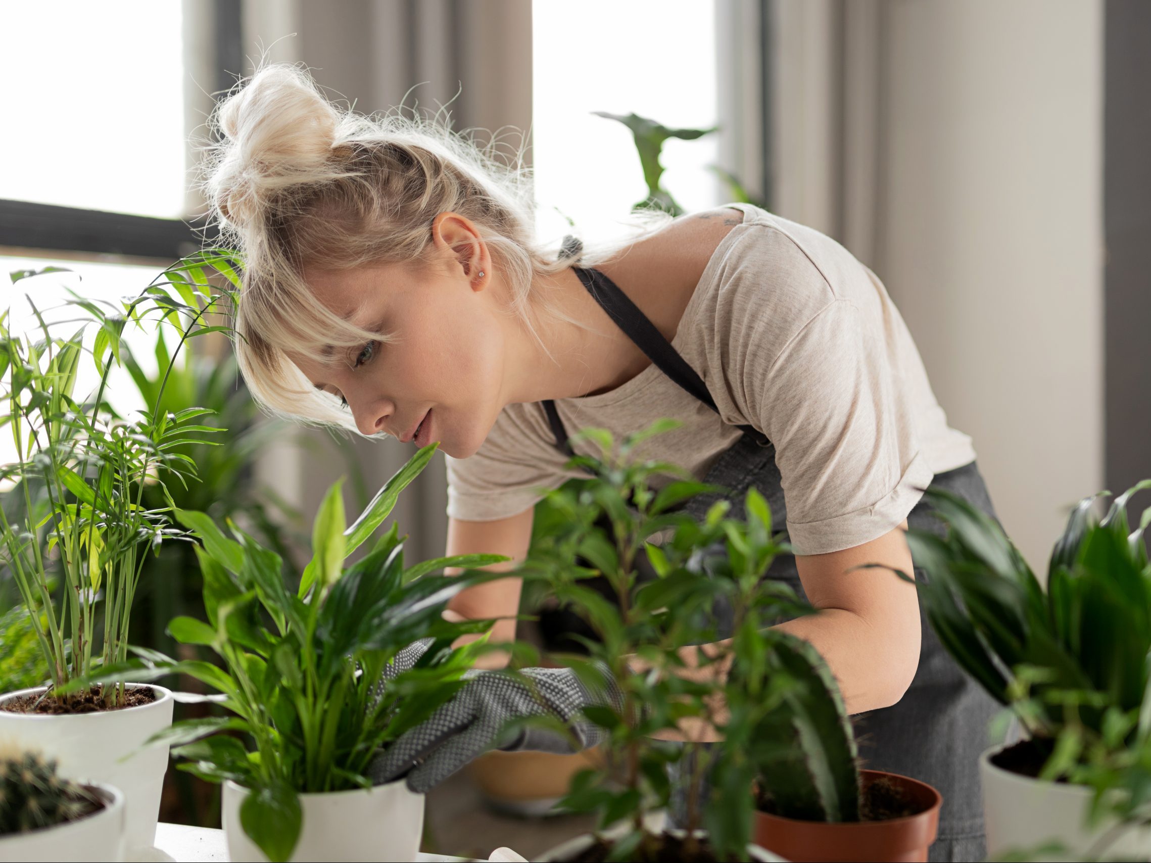 Πώς η υγεία των φυτών σου μπορεί να επηρεάσει τη διάθεση σου; (& τα 5 πιο ανθεκτικά φυτά εσωτερικού χώρου)